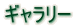 ●ギャラリー